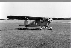 CF-ANT photo 3