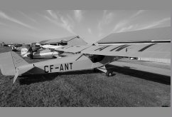 CF-ANT photo 5