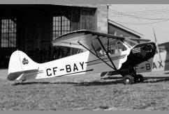 CF-BAY photo 3