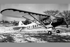 CF-BAY photo 6
