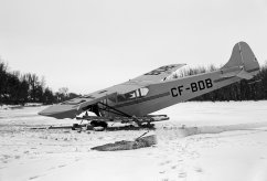 CF-BDB photo 4