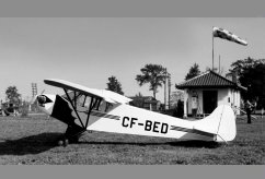 CF-BED photo 3