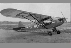 CF-BEE photo 1