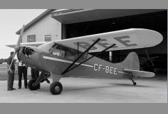 CF-BEE photo 2