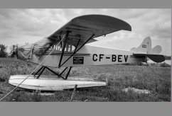 CF-BEV photo 7