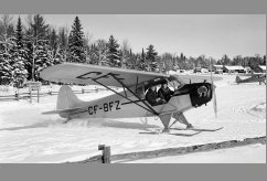CF-BFZ photo 4