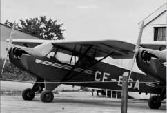 CF-BGA photo 2