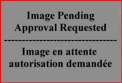 Awaiting Permission