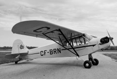 CF-BRN photo 1
