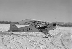 CF-BRN photo 3