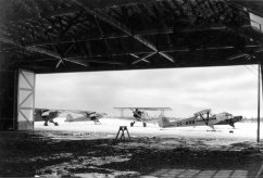 CF-BRN photo 4
