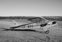 CF-BRO photo 4