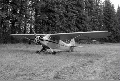 CF-BRQ photo 4