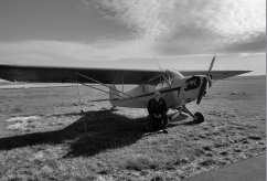 CF-BRQ photo 6