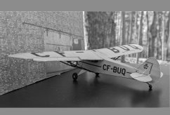 CF-BUQ photo 2