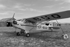 CF-BUQ photo 4