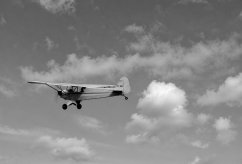 CF-BUV photo 15