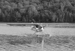 CF-BUW photo 11
