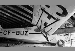 CF-BUZ photo 3